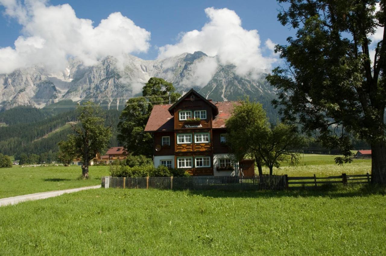 Appartements Wieseneck - Ramsau Am Dachstein - Inklusive Sommercard ! מראה חיצוני תמונה
