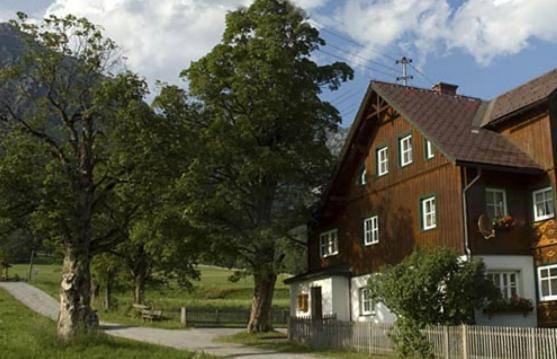 Appartements Wieseneck - Ramsau Am Dachstein - Inklusive Sommercard ! מראה חיצוני תמונה