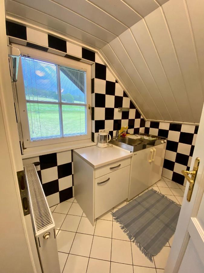 Appartements Wieseneck - Ramsau Am Dachstein - Inklusive Sommercard ! מראה חיצוני תמונה