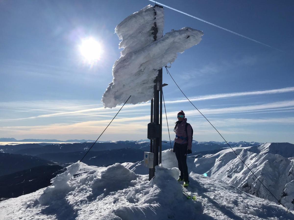 Appartements Wieseneck - Ramsau Am Dachstein - Inklusive Sommercard ! מראה חיצוני תמונה